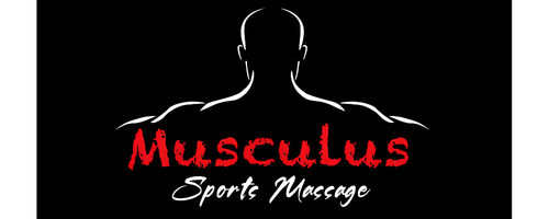 MP Musculus